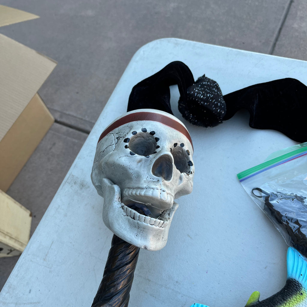 D743 Halloween costumes and accessories grouping