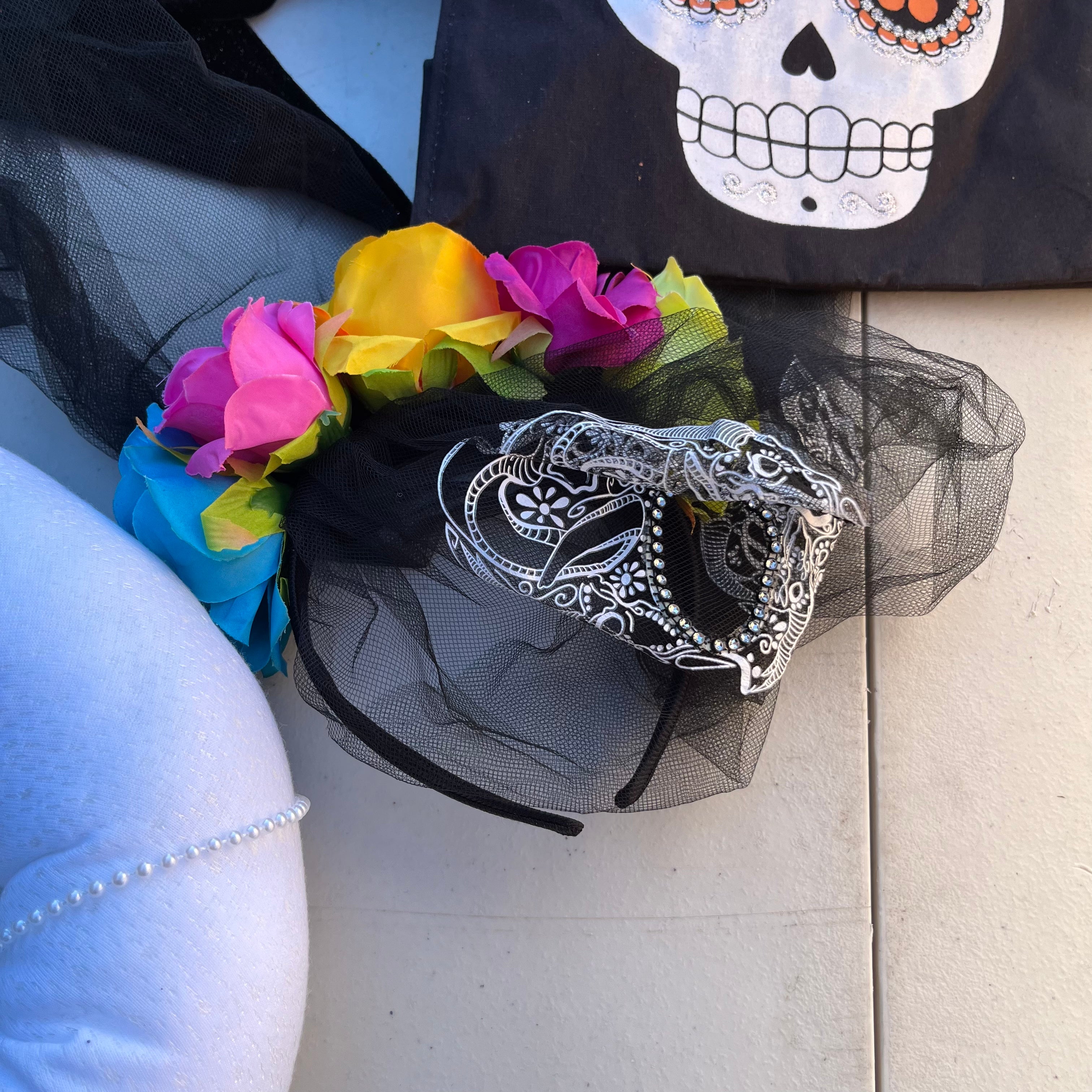 D743 Halloween costumes and accessories grouping