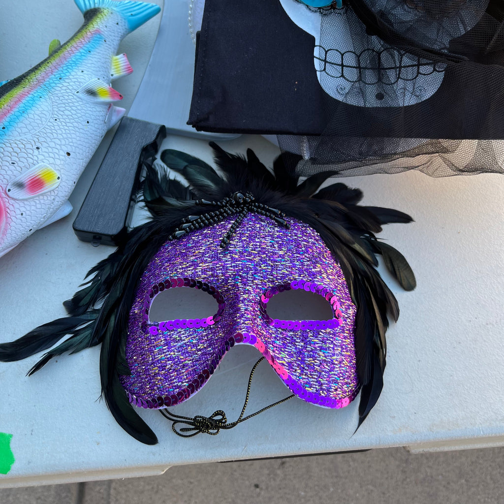 D743 Halloween costumes and accessories grouping