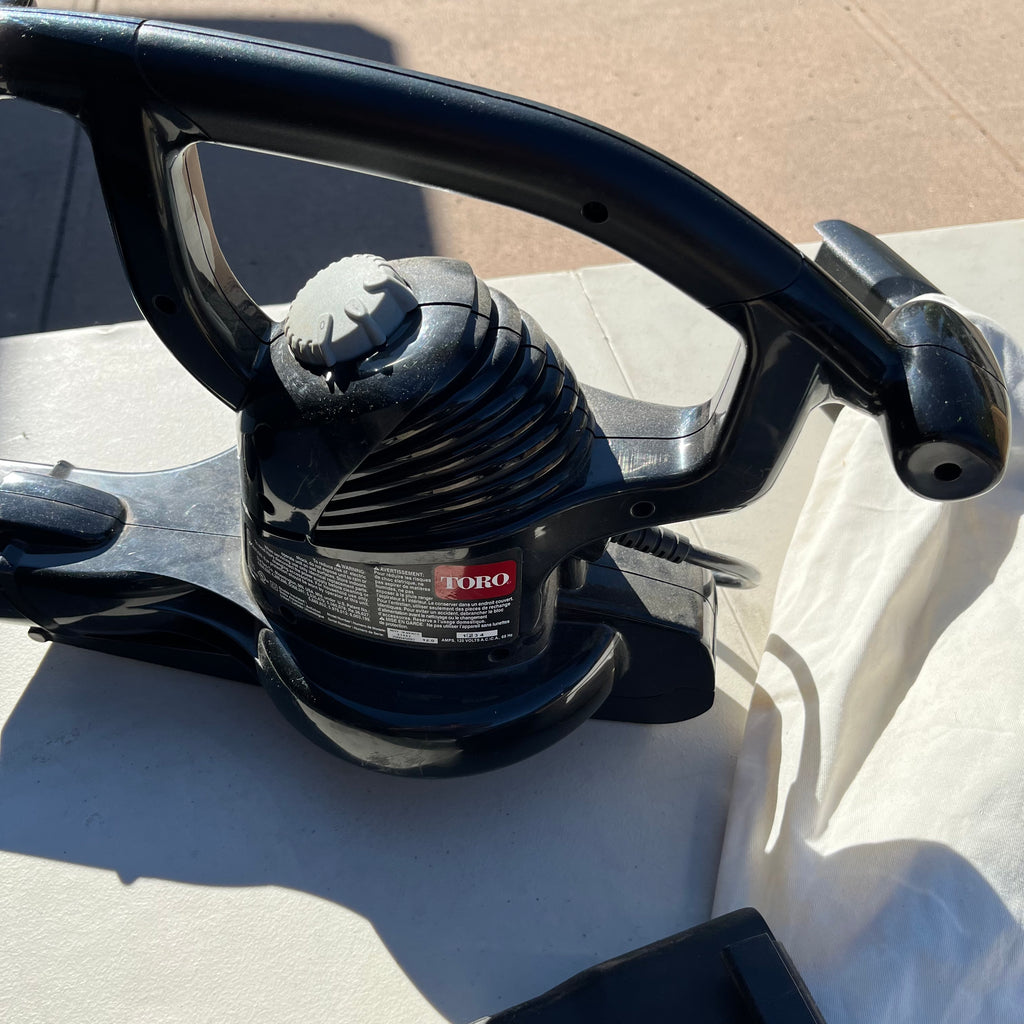 D760 Blower and new outdoor rug