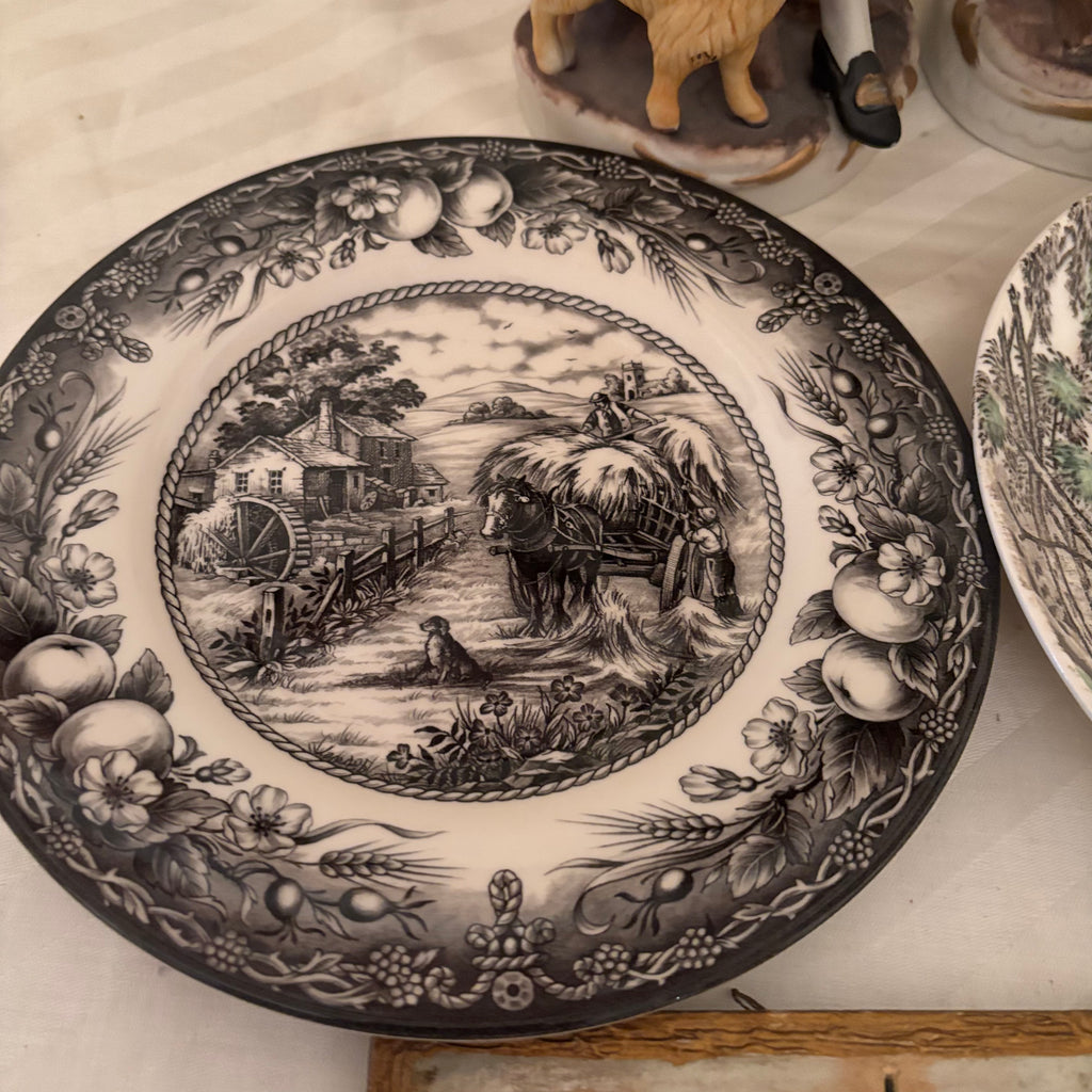 F249 Vintage Decor Grouping (Royal Staffordshire plates and more)