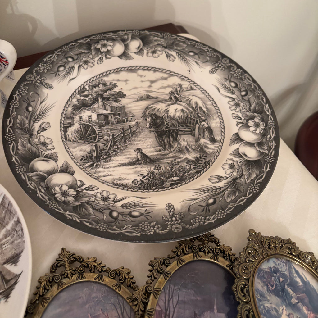 F249 Vintage Decor Grouping (Royal Staffordshire plates and more)