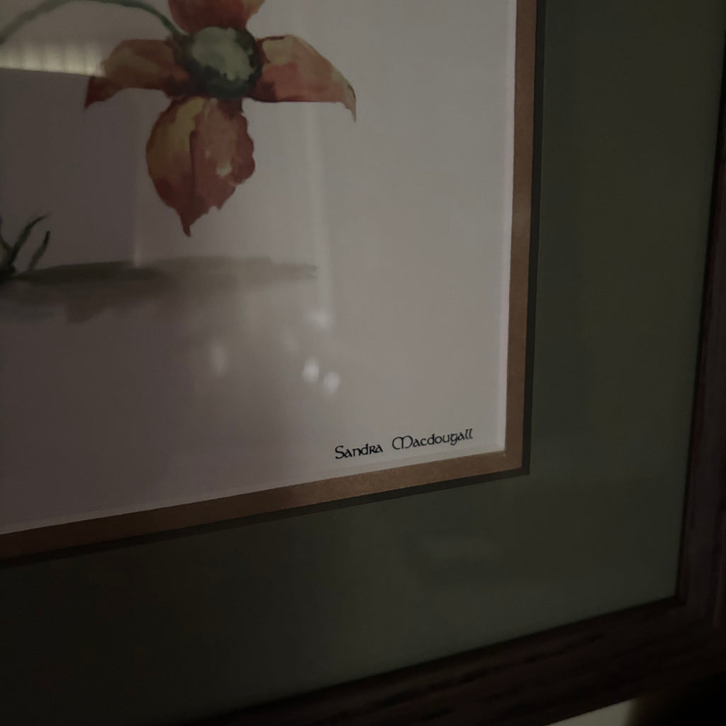 F262 Framed Tony DiTerlizzi fairy print (17" x 22")