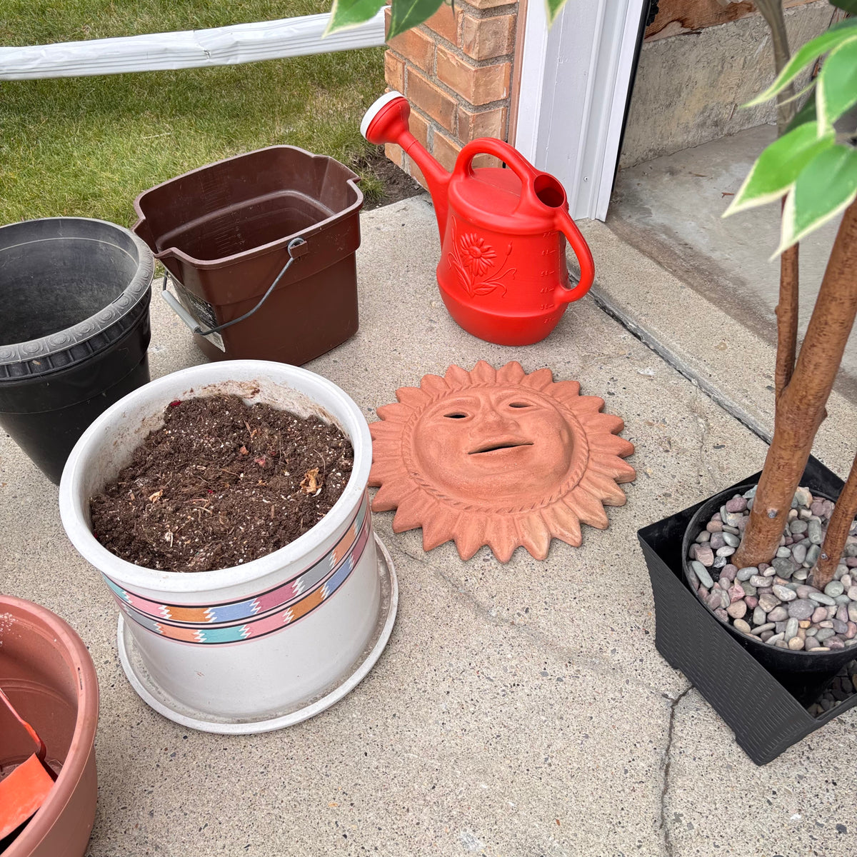 K354 Random yard Grouping (plastic garbage can and more)