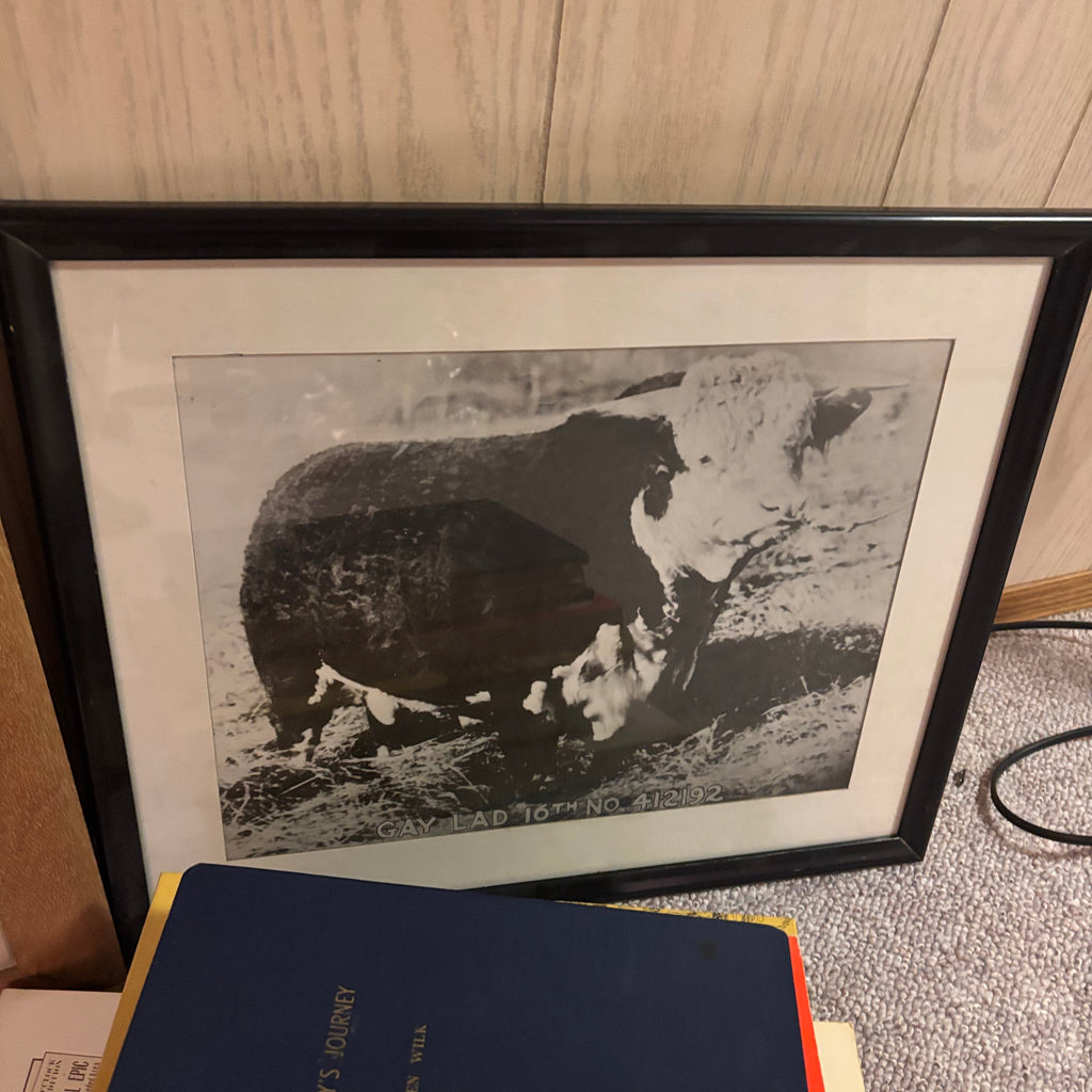 K511 Vintage Grouping (books and more)