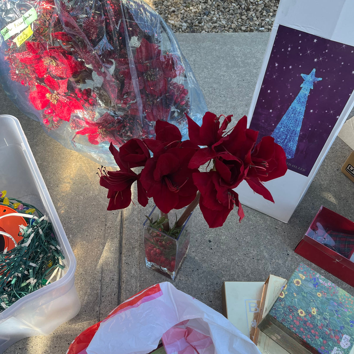 X315 Christmas Grouping (string lights and more)