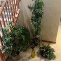 X135 Faux plant grouping