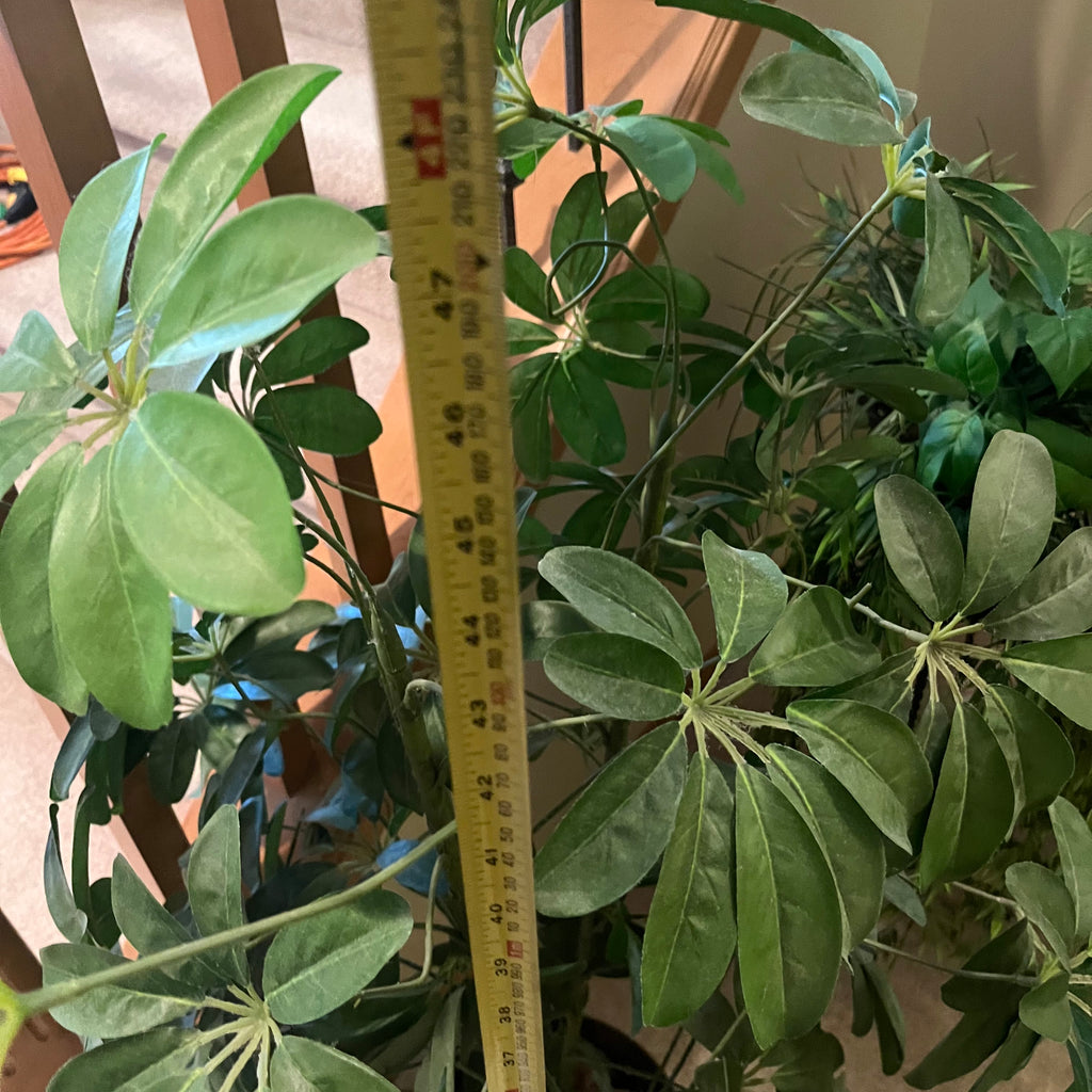 X135 Faux plant grouping