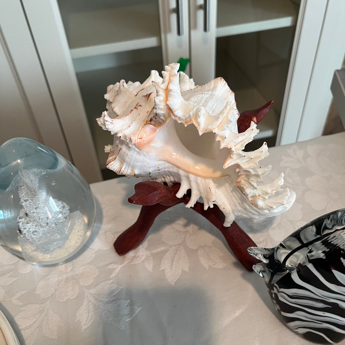 X146 Seaside Decor Grouping (conch shell and more)