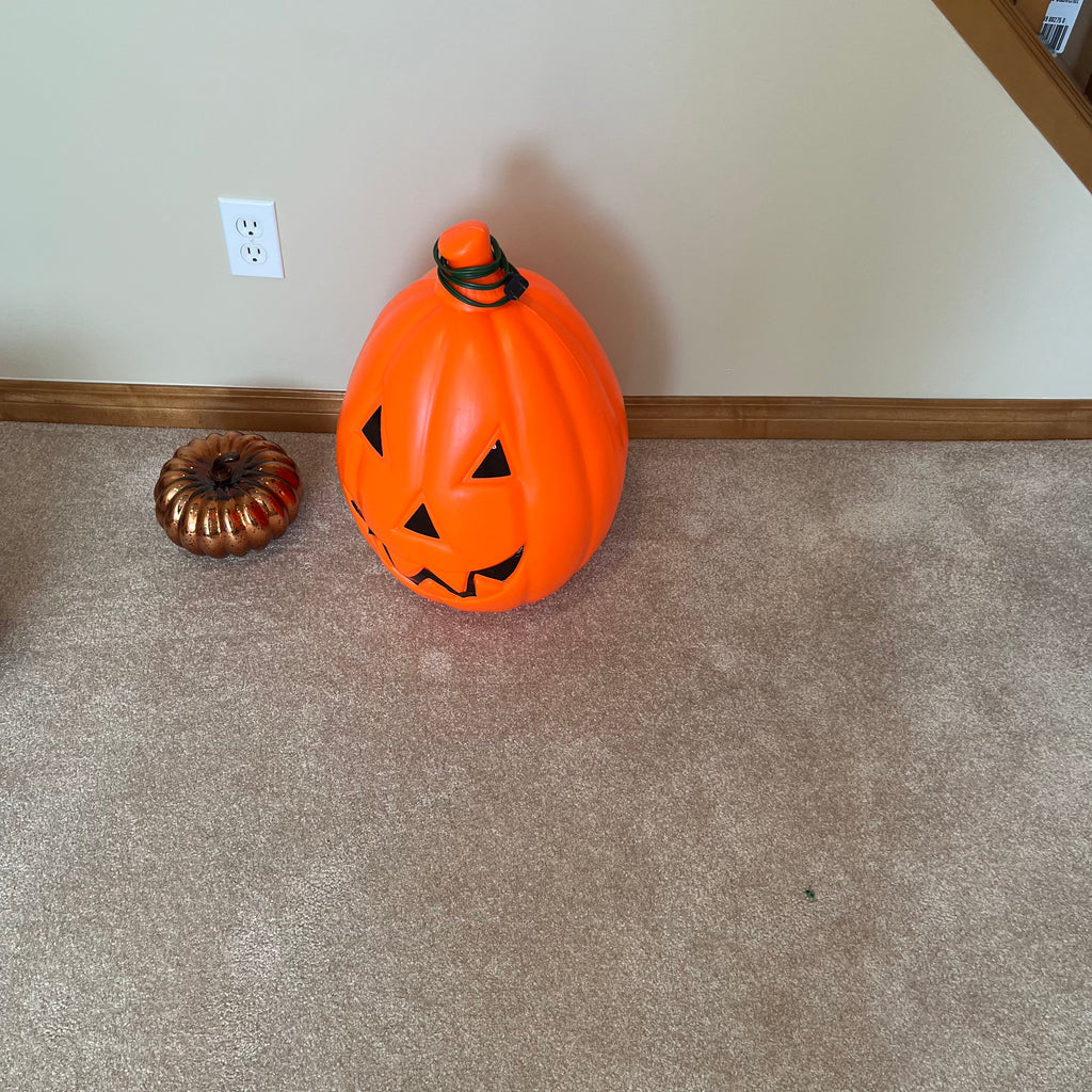 X155 Pumpkin Grouping