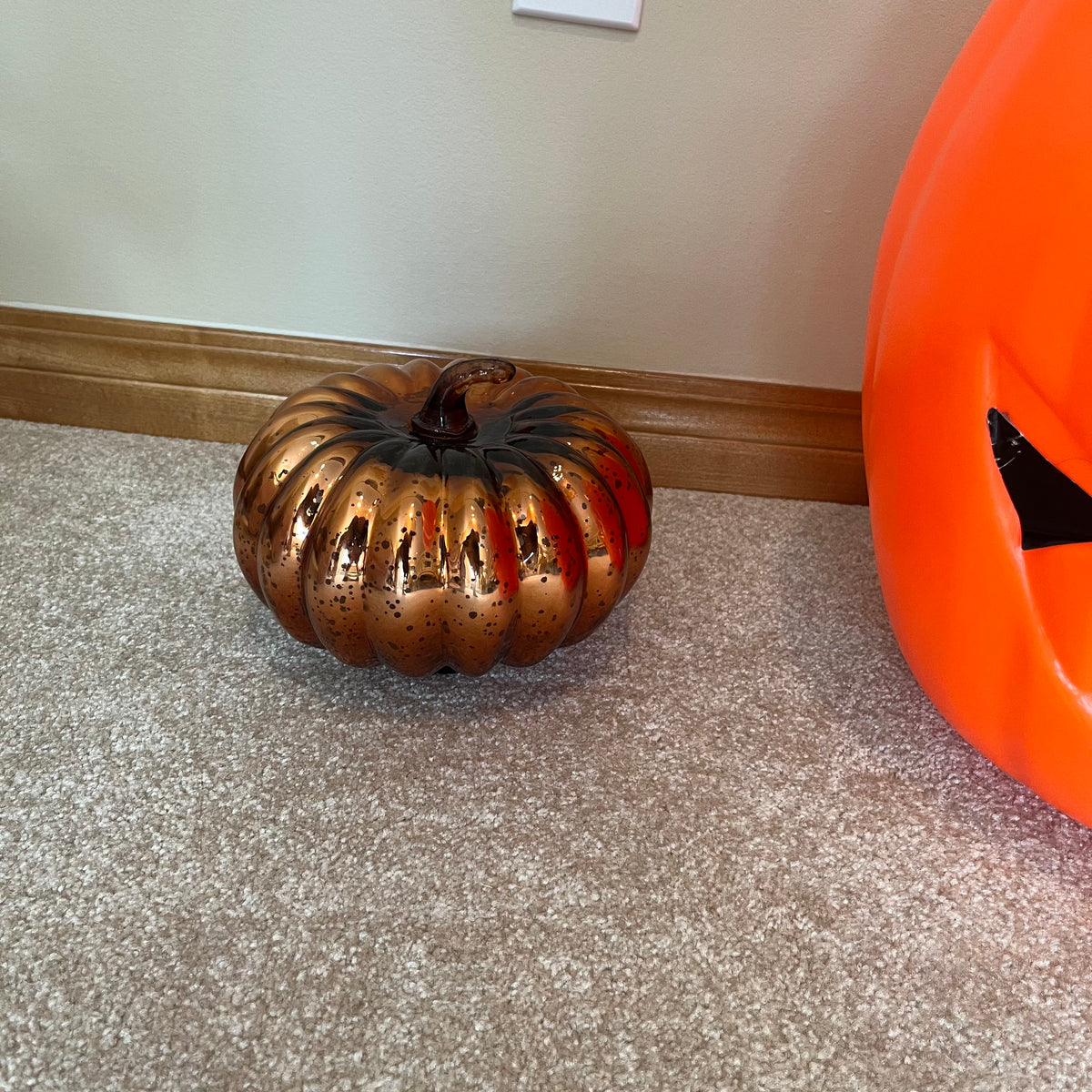 X155 Pumpkin Grouping
