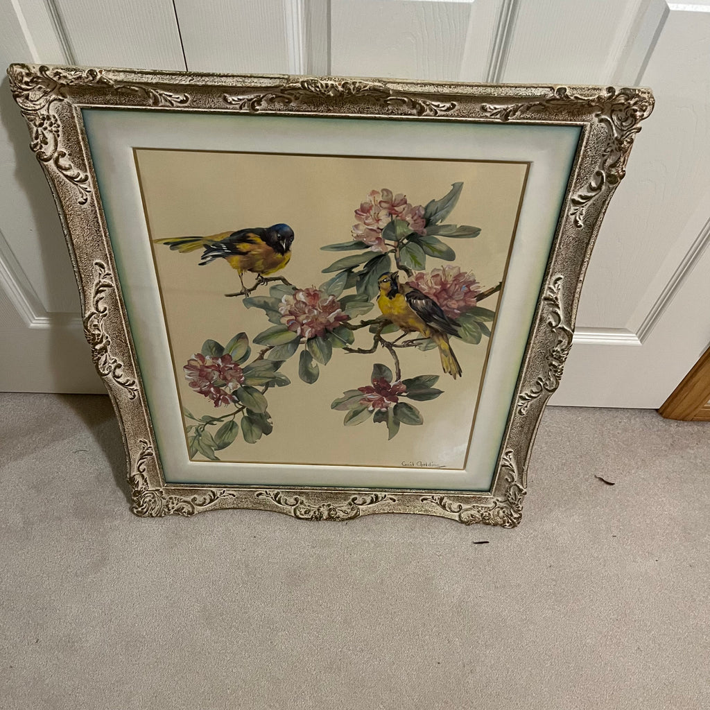 Y337A 29" x 26" framed vintage birds and flowers print