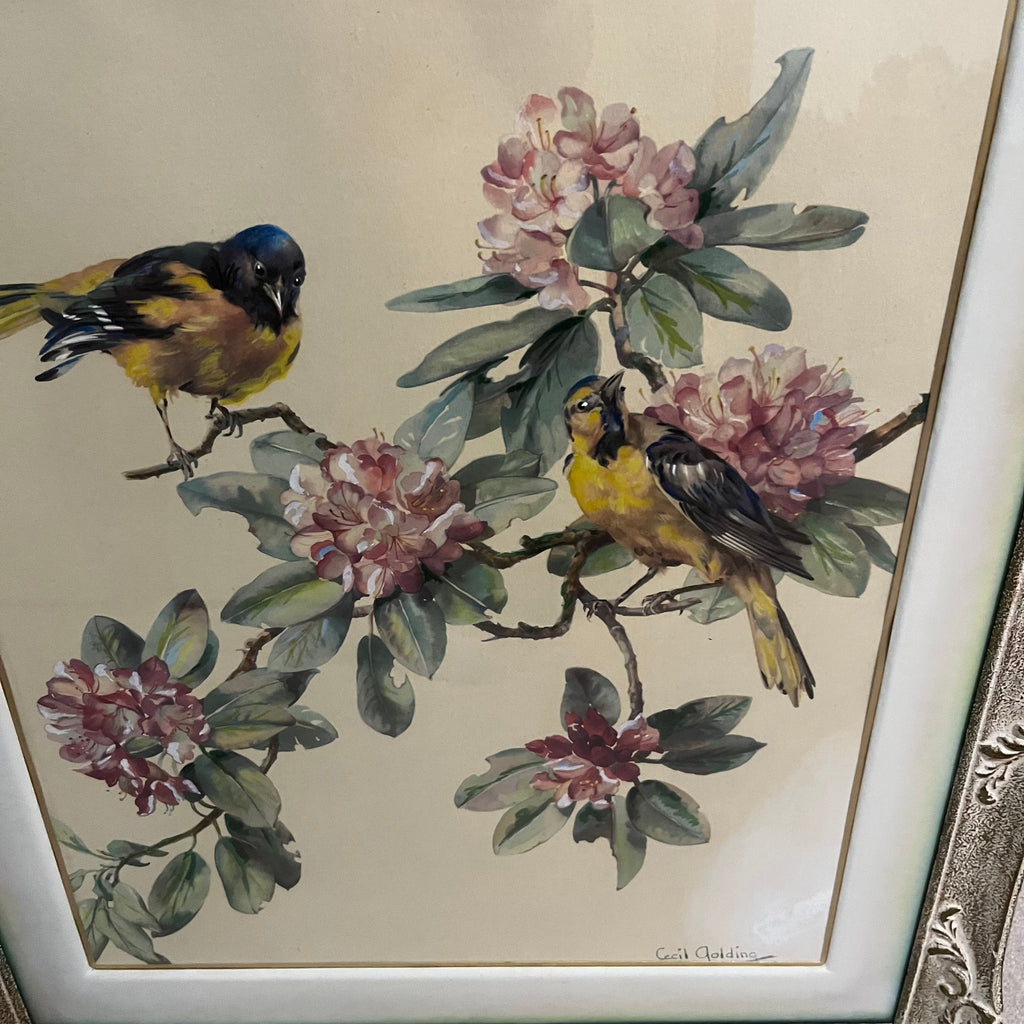 Y337A 29" x 26" framed vintage birds and flowers print