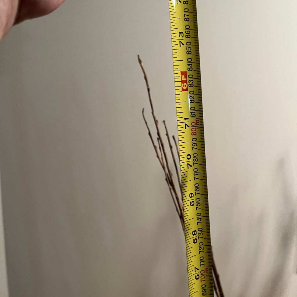 Y343A Faux trees grouping
