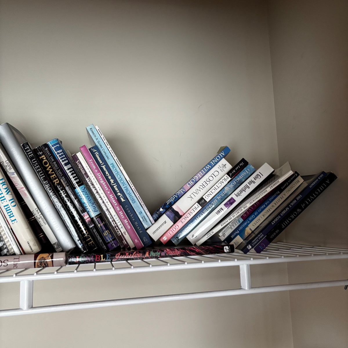 Y102 Assorted Book Lot (reference books and more)