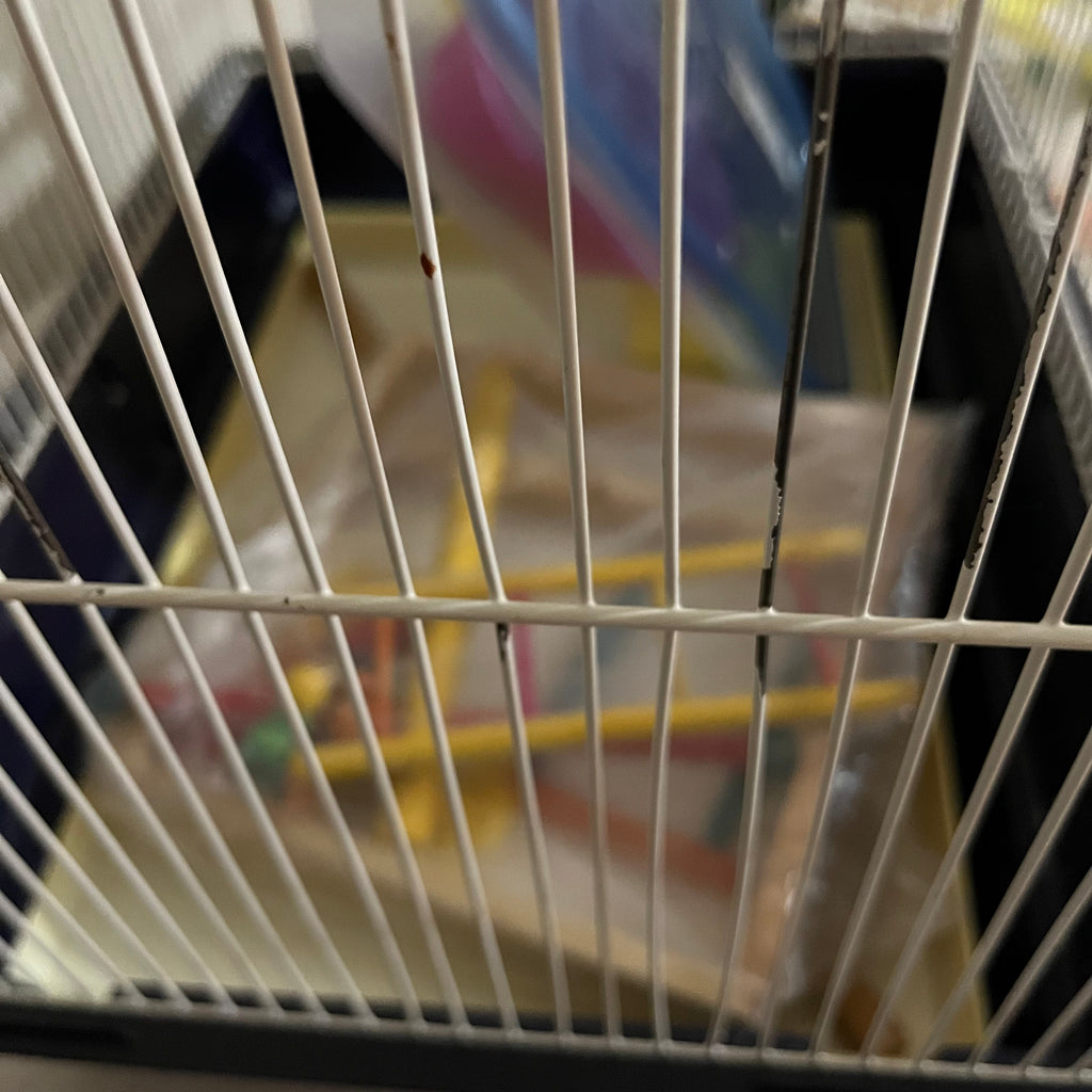 Y314 Pet Grouping (bird cage and more)
