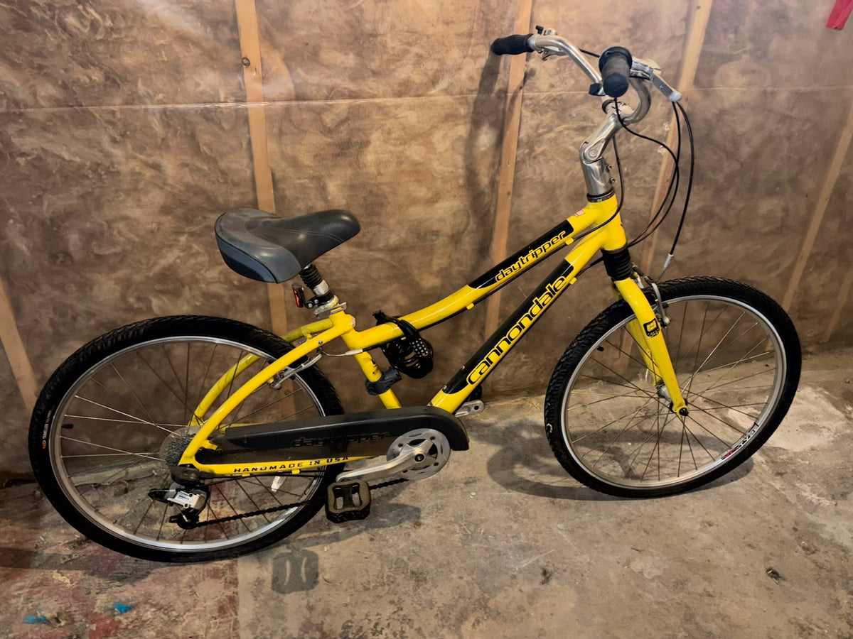 E301 Cannondale Daytripper bike