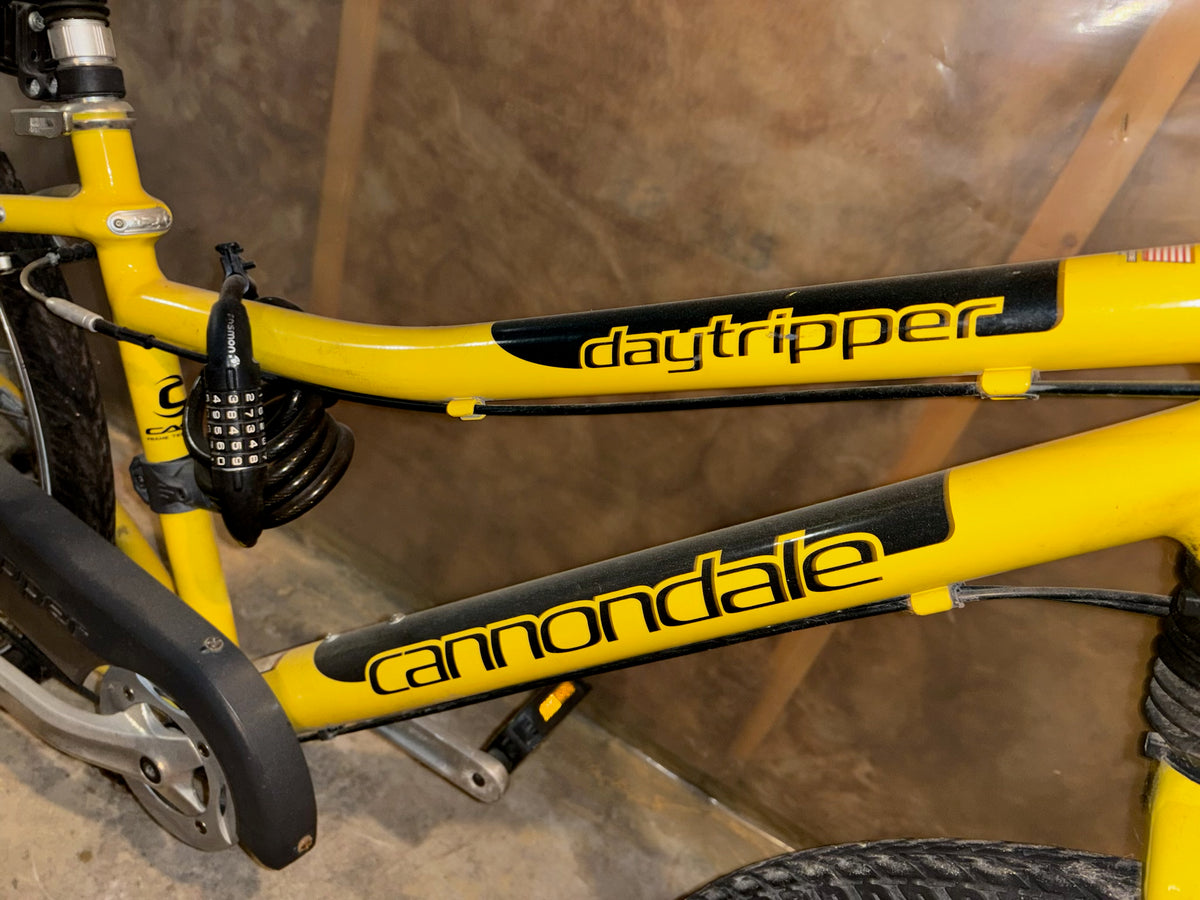 E301 Cannondale Daytripper bike