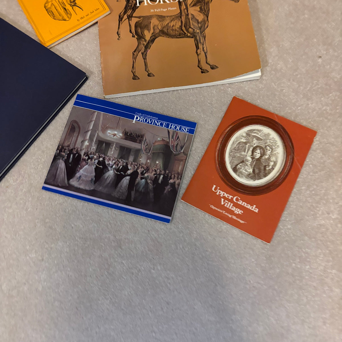 Y130 History Books Grouping
