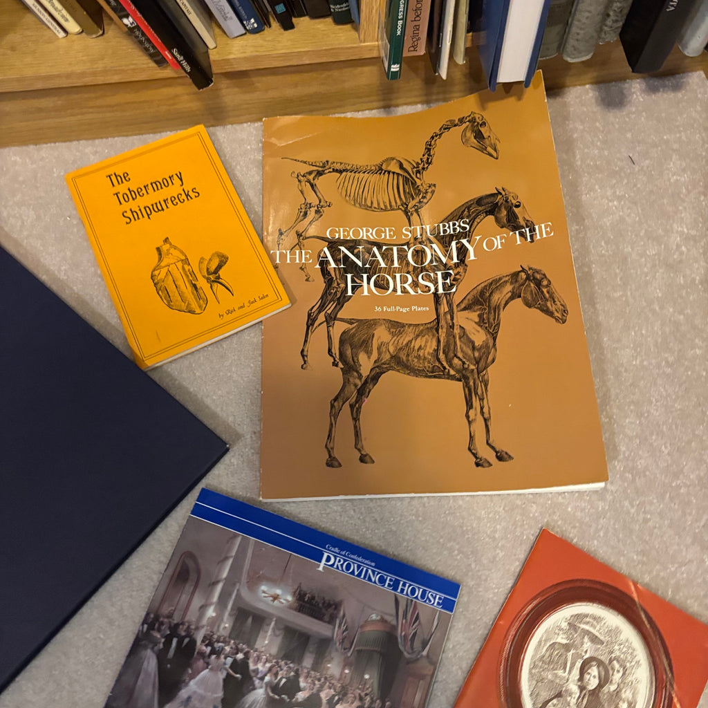 Y130 History Books Grouping