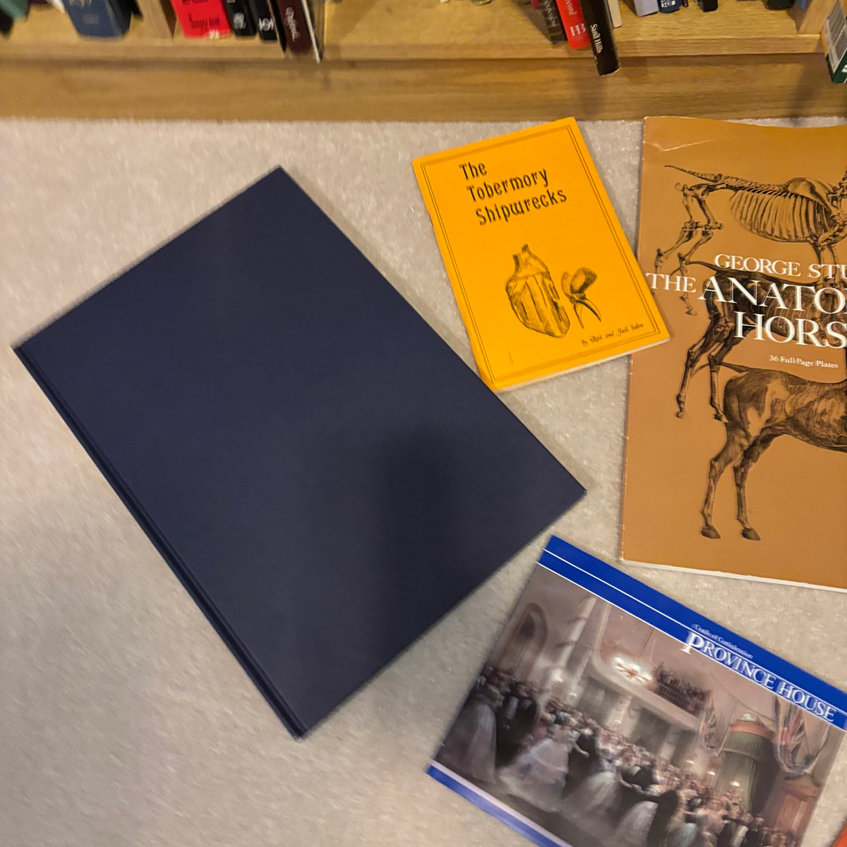 Y130 History Books Grouping