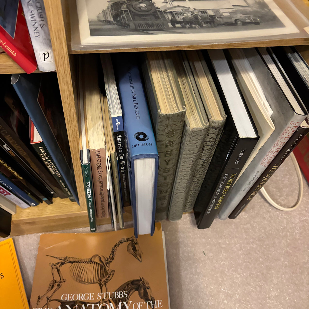 Y130 History Books Grouping