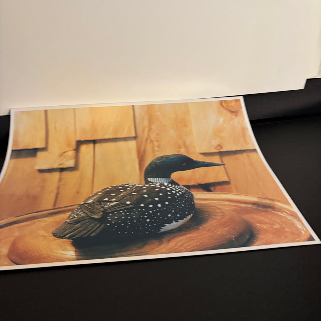 Y140 Artist Grouping (stacking display stands and more)