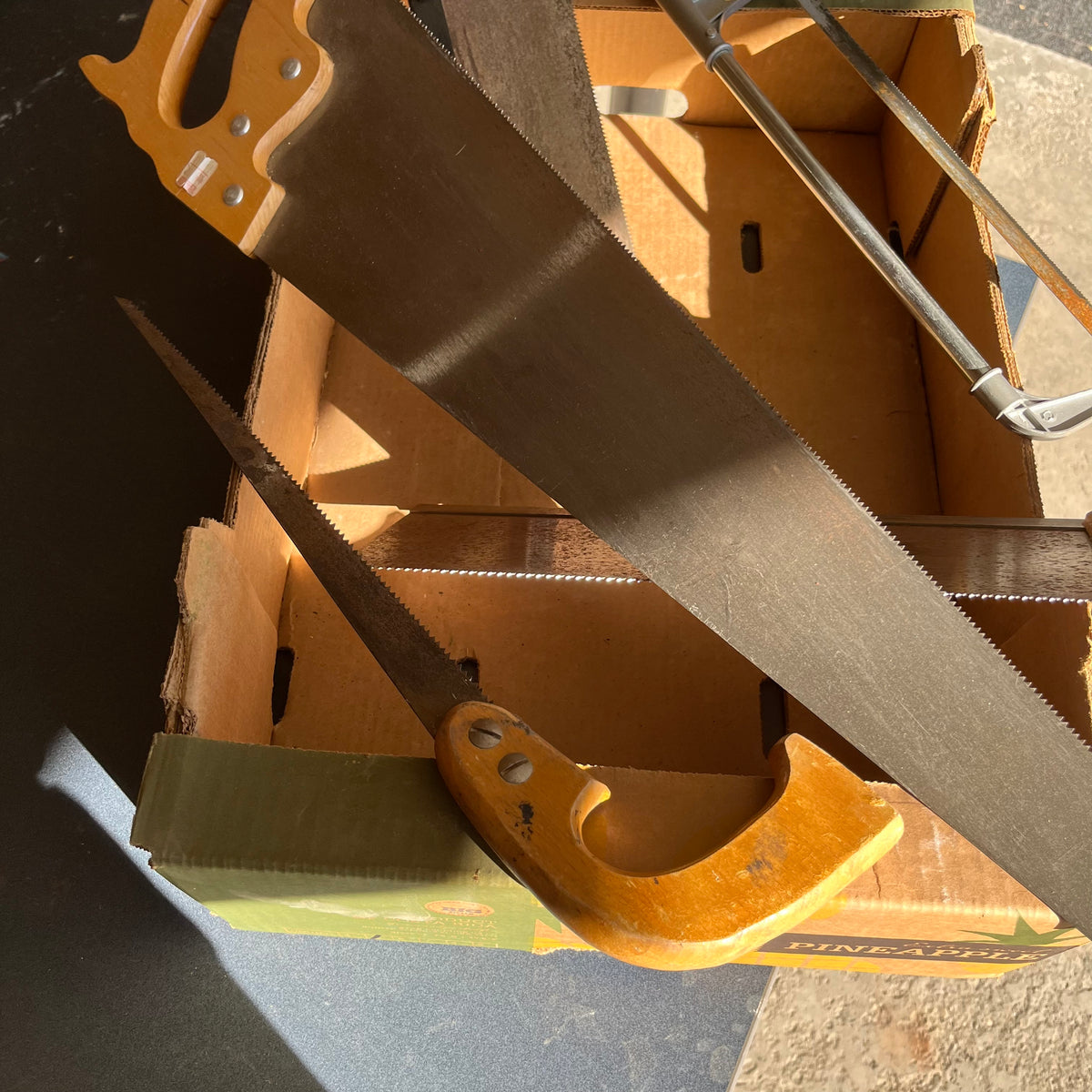 Y337 Grouping of 5 saws