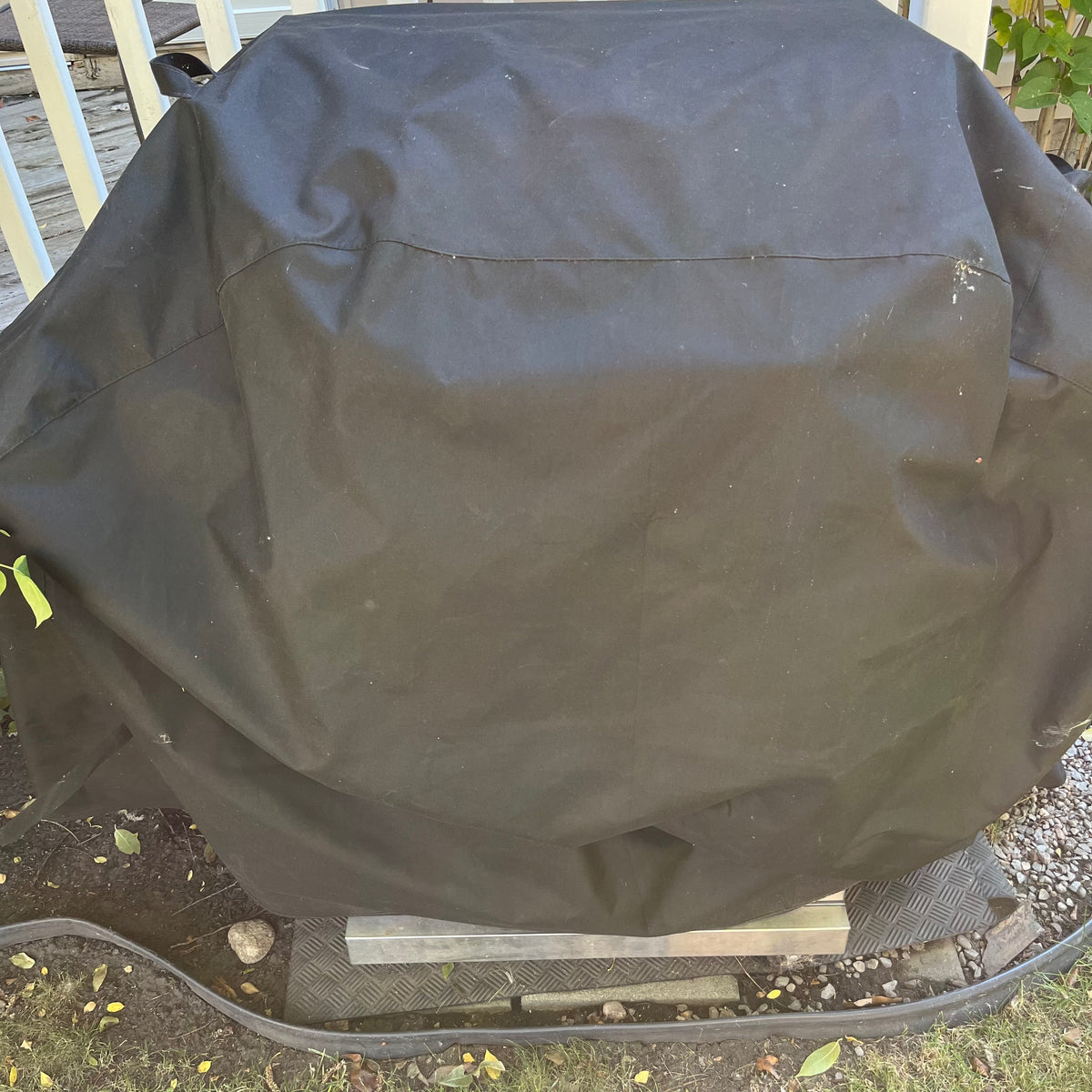 Y354 Nexgrill stainless steel propane BBQ with propane tank
