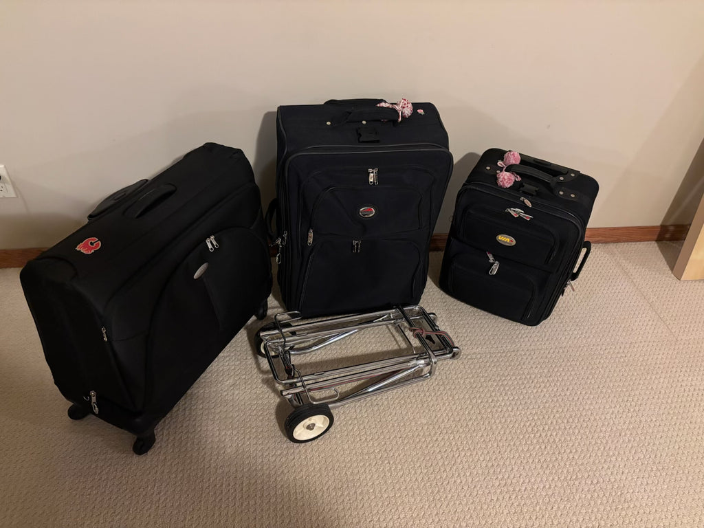B207 3 Piece luggage grouping with metal trolley