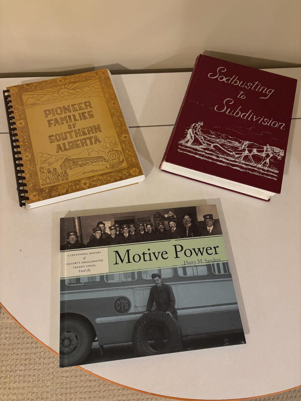 B211 Vintage Book Grouping (local history books)
