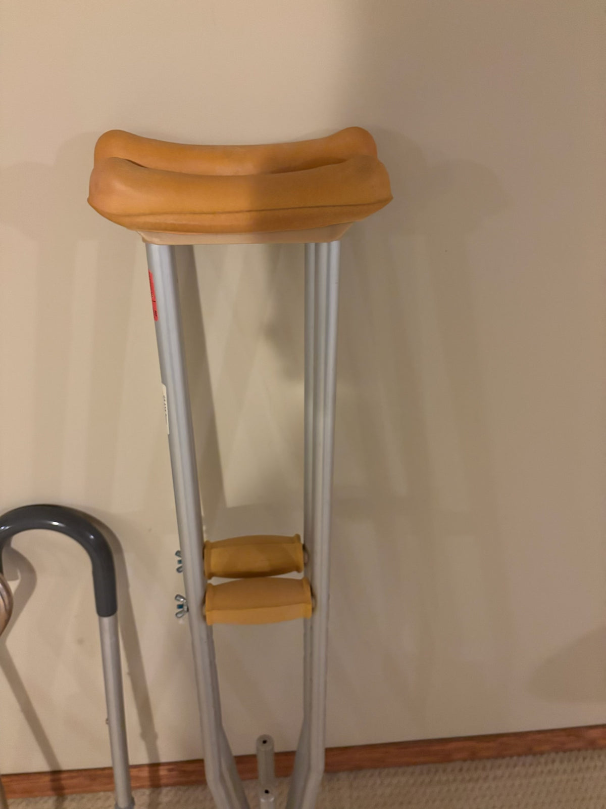 B212 Health Grouping (canes and more)