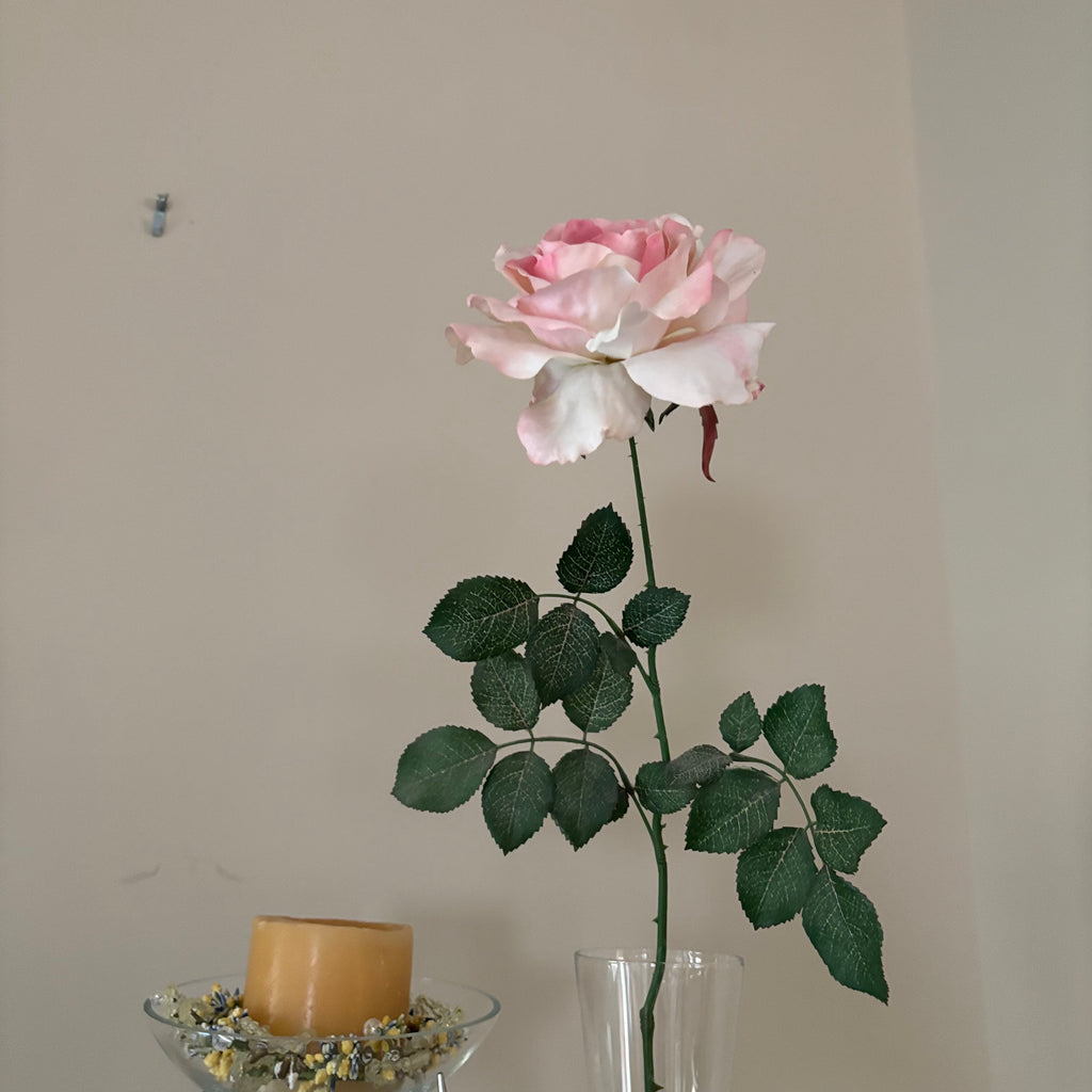 B112 Home Decor Grouping (glass vases and more)