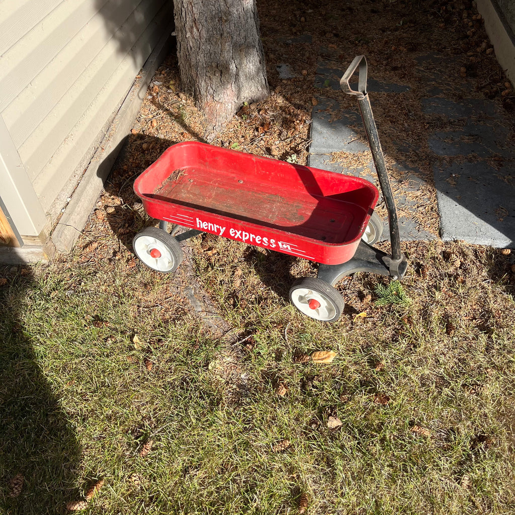 D300 Vintage Henry Express metal wagon