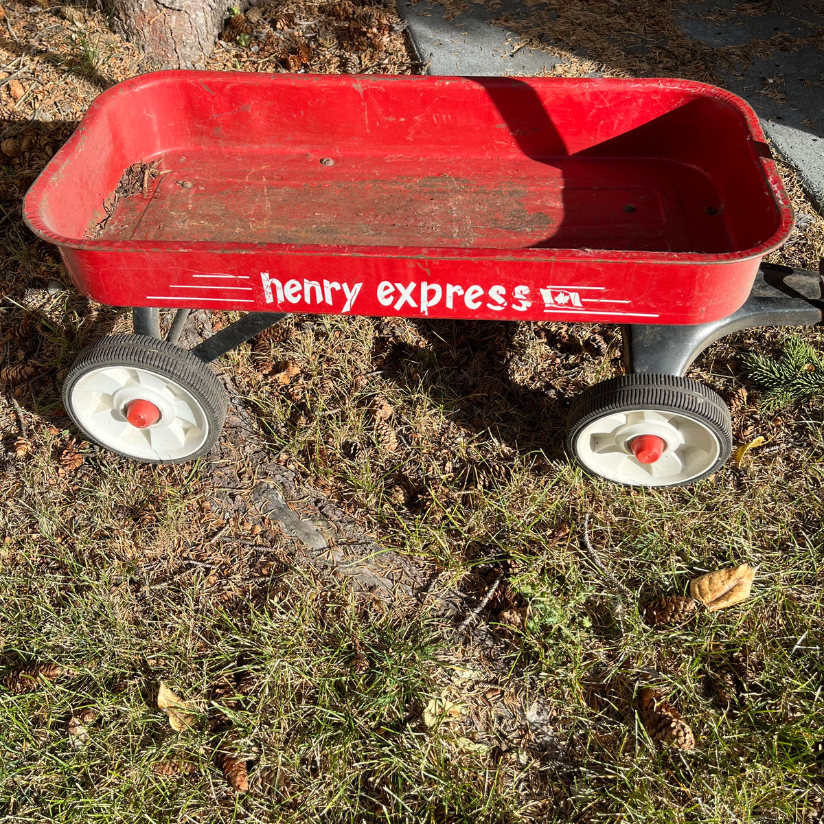 D300 Vintage Henry Express metal wagon
