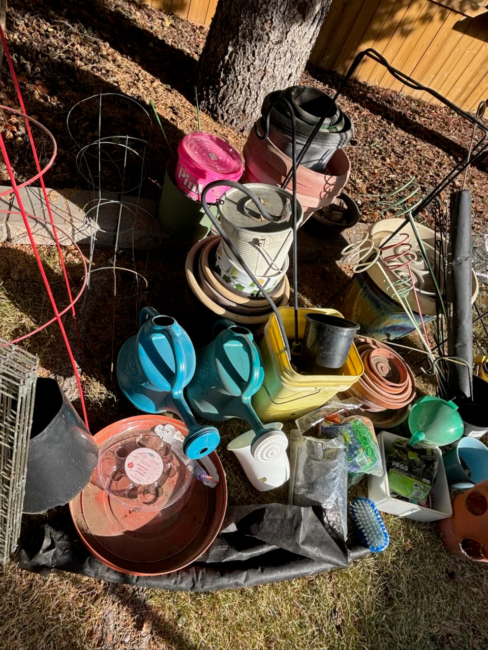D201 Garden Grouping (Pots and More)