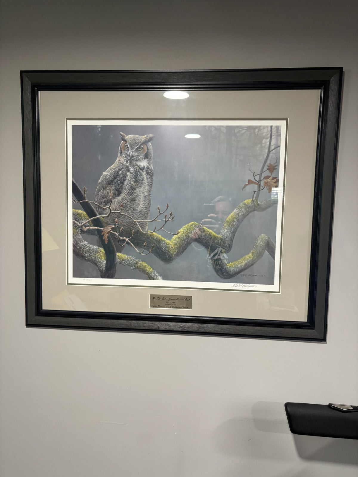 D209 Robert Bateman print, "In the Oak-Great Horned Owl" (36" x 30")