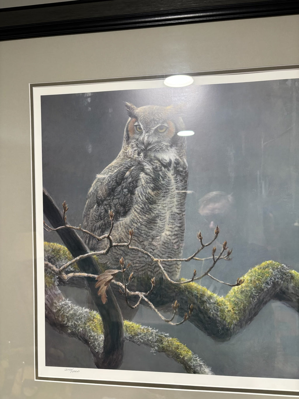 D209 Robert Bateman print, "In the Oak-Great Horned Owl" (36" x 30")