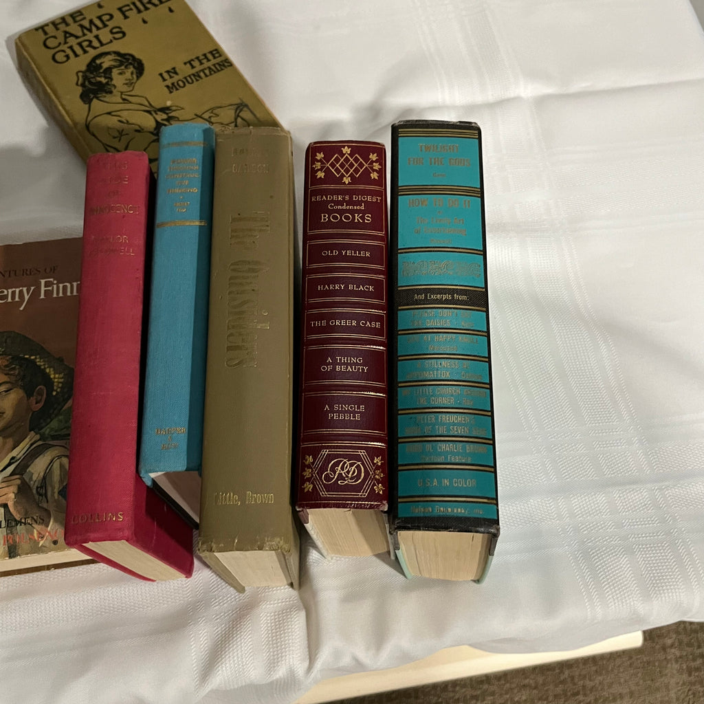 D317 Vintage Book Lot (Huckleberry Finn and more)