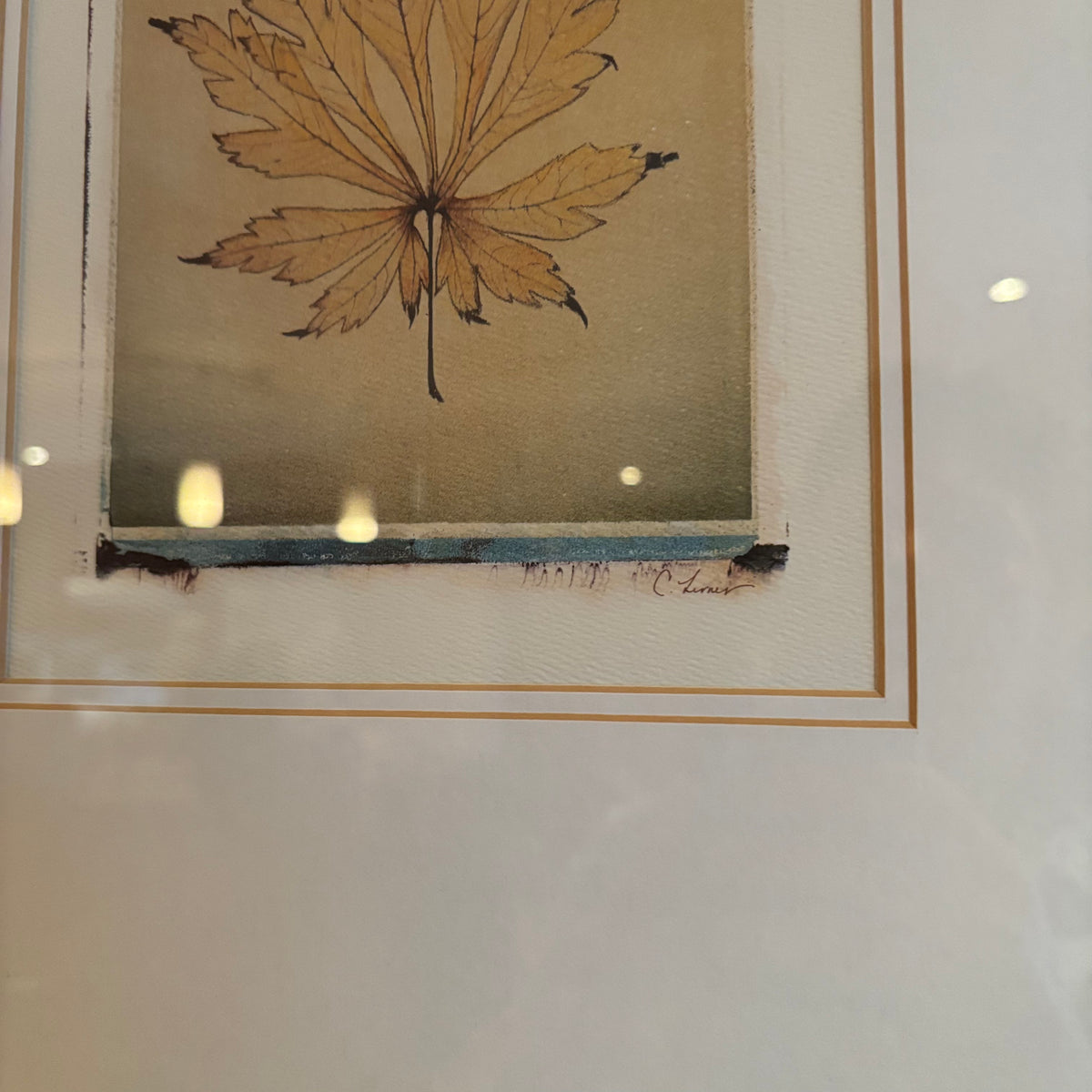 R117 Framed leaf print (20" x 23")