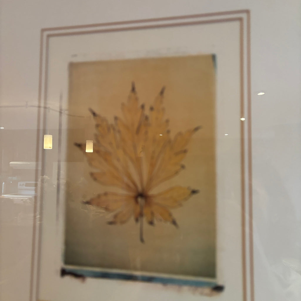 R117 Framed leaf print (20" x 23")