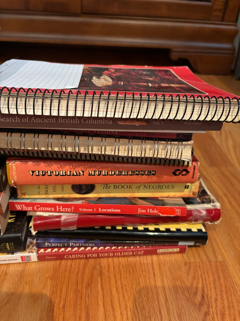 R204 Books Grouping (novels and more)