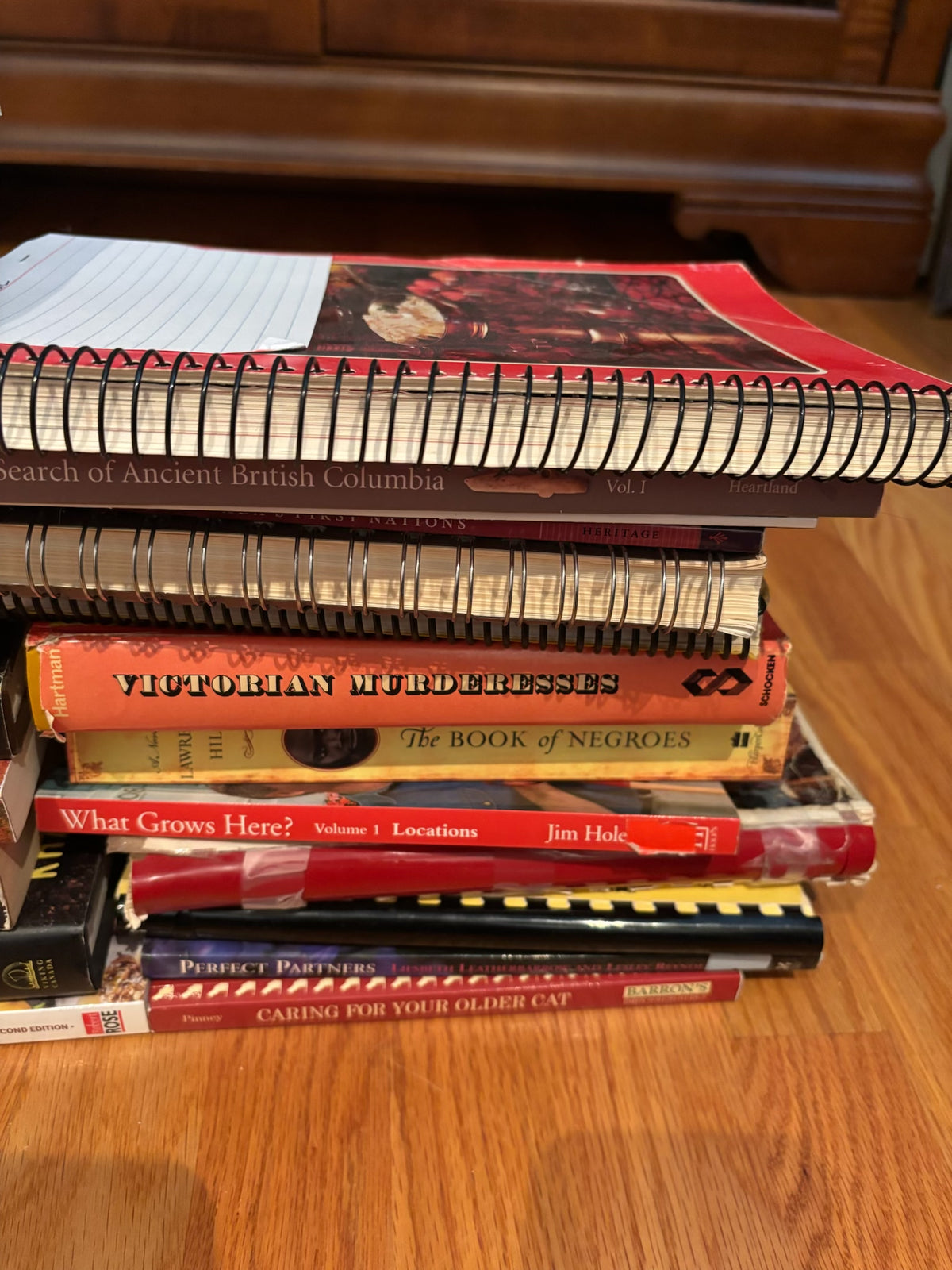 R204 Books Grouping (novels and more)