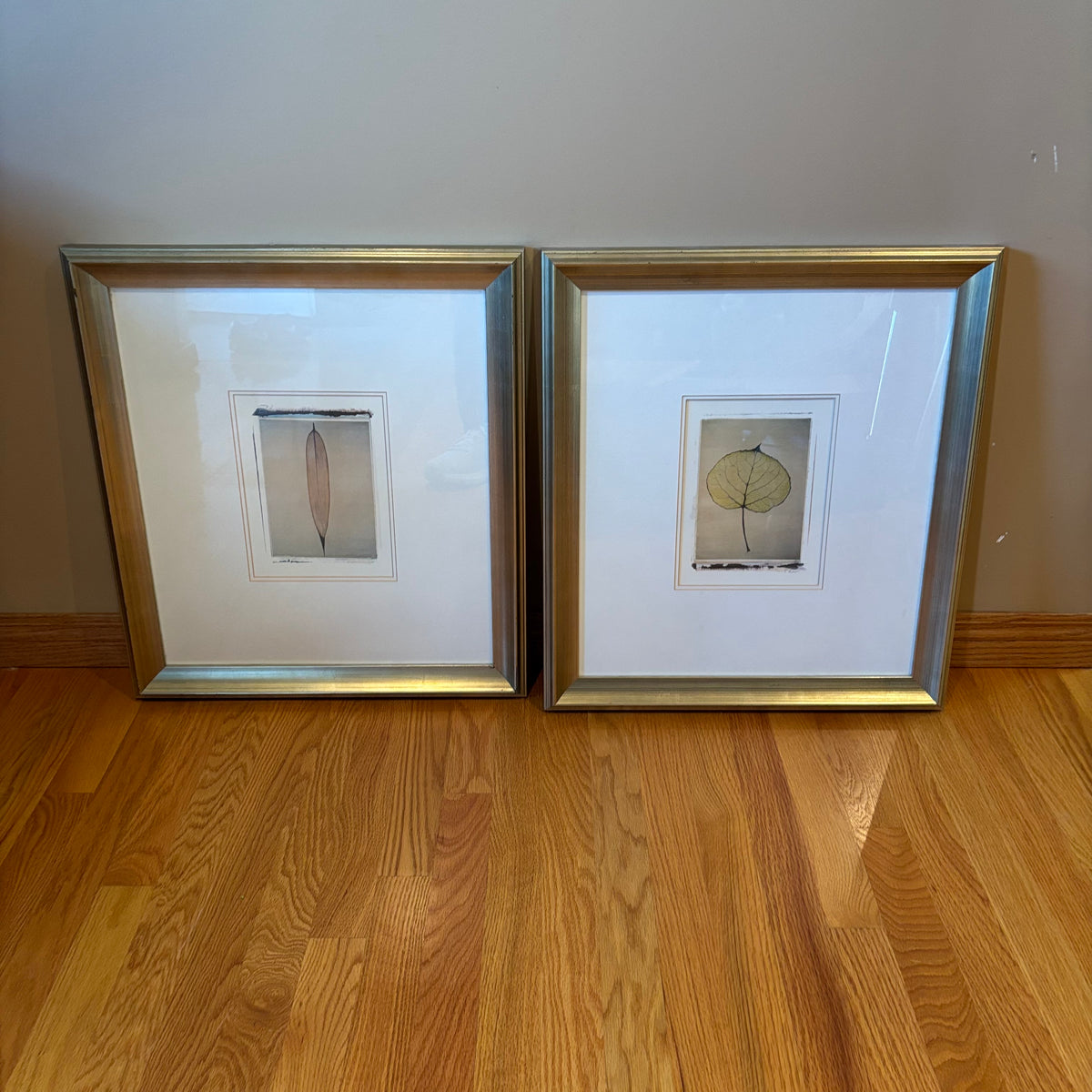 R120 Set of 2 framed leaf prints