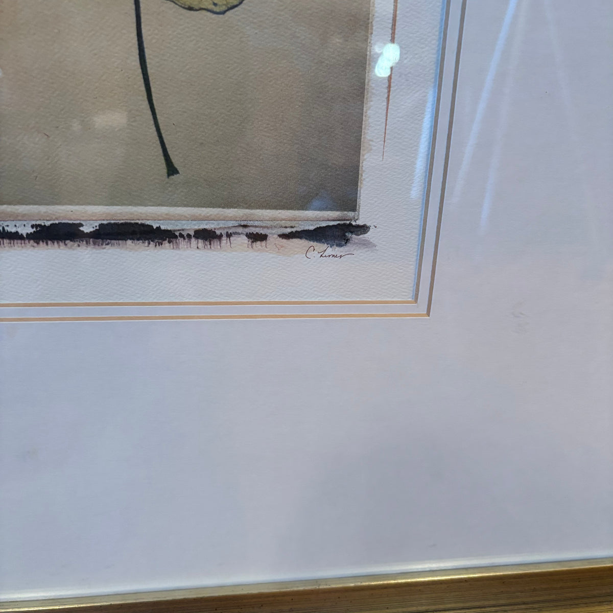 R120 Set of 2 framed leaf prints
