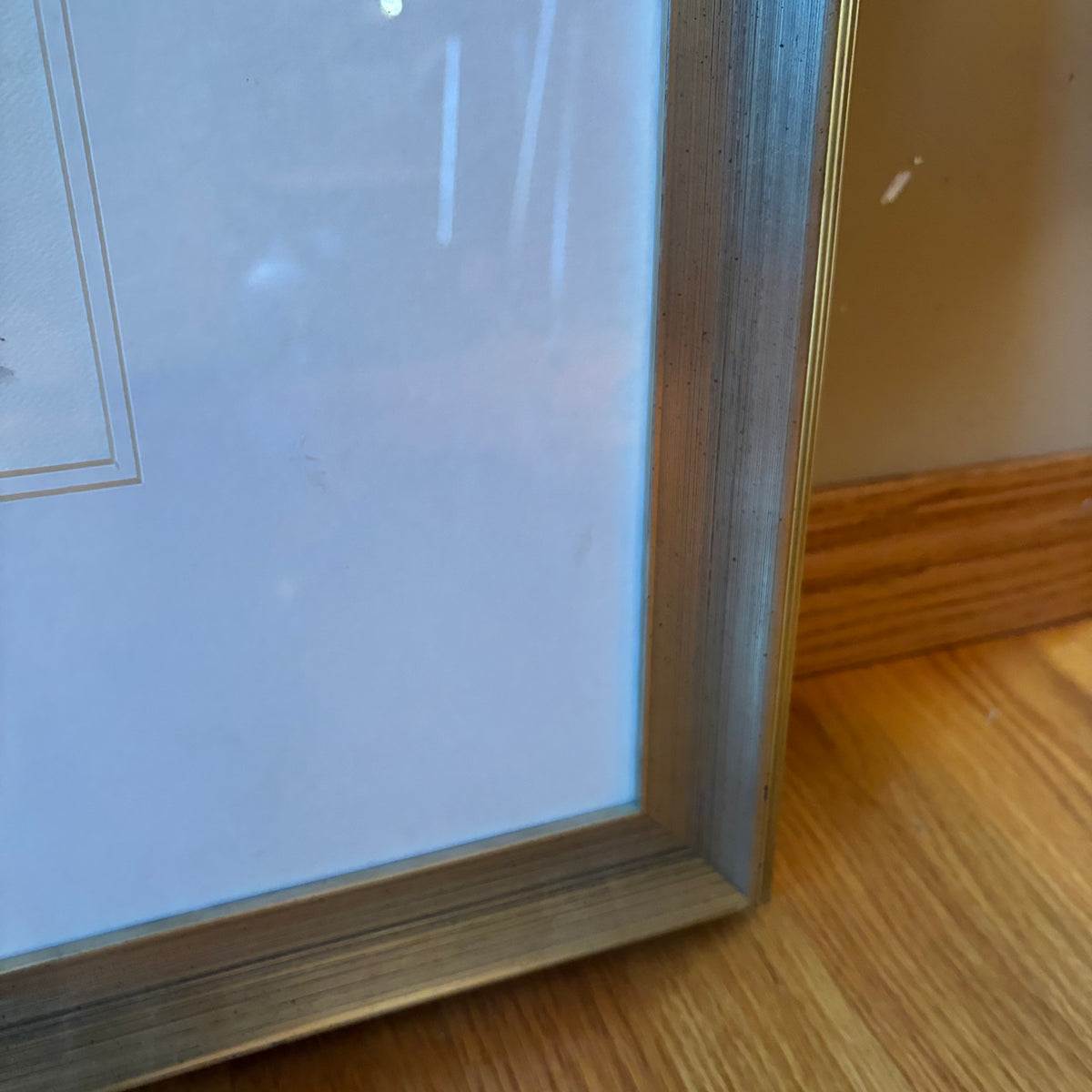 R120 Set of 2 framed leaf prints