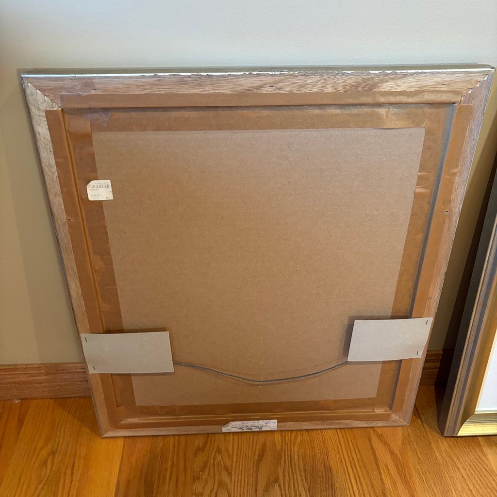 R120 Set of 2 framed leaf prints