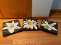 R212 Set of 3 floral plaques (daisy and lily)