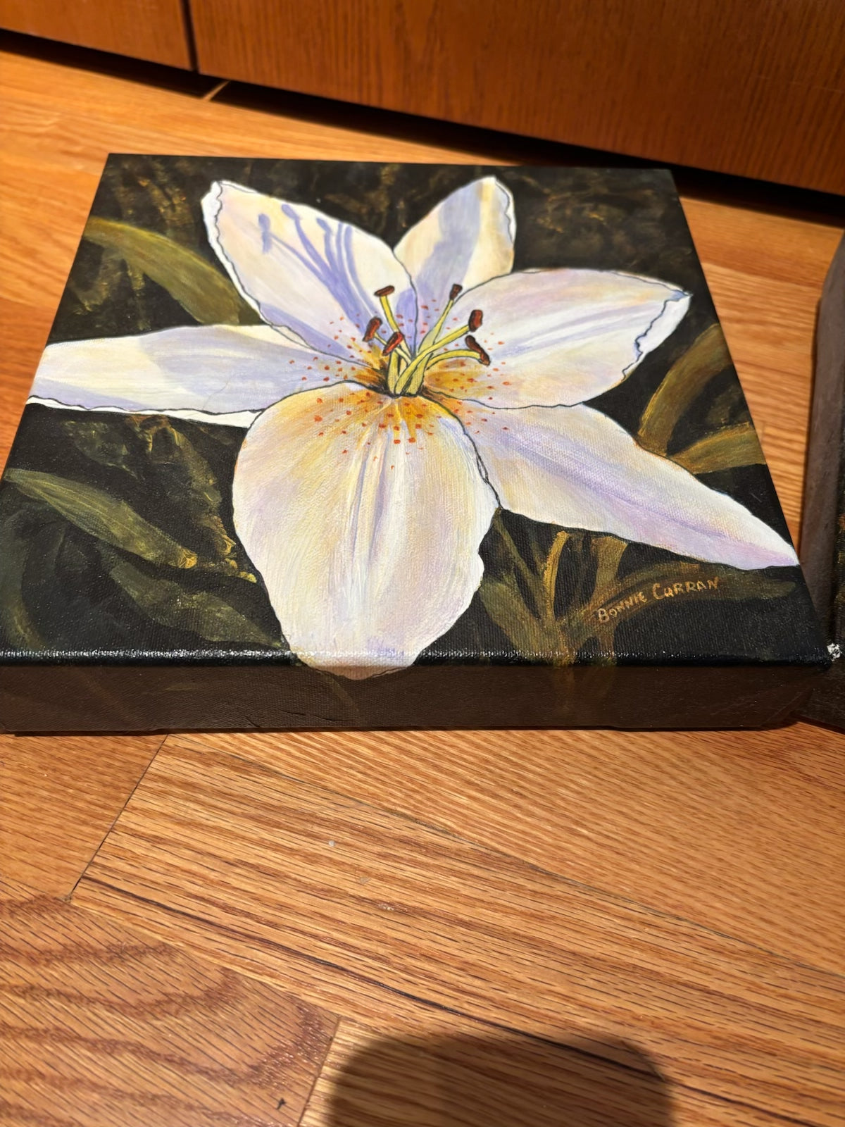 R212 Set of 3 floral plaques (daisy and lily)