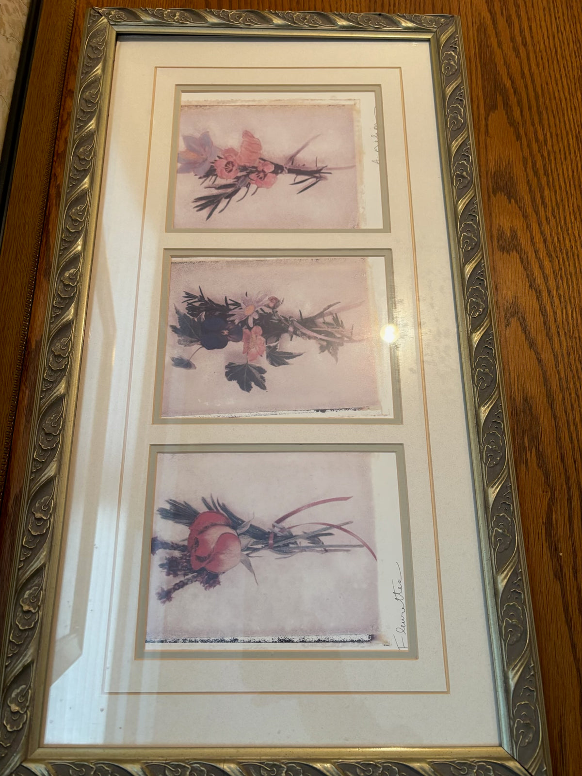 R217 Artwork Grouping (nature themed)